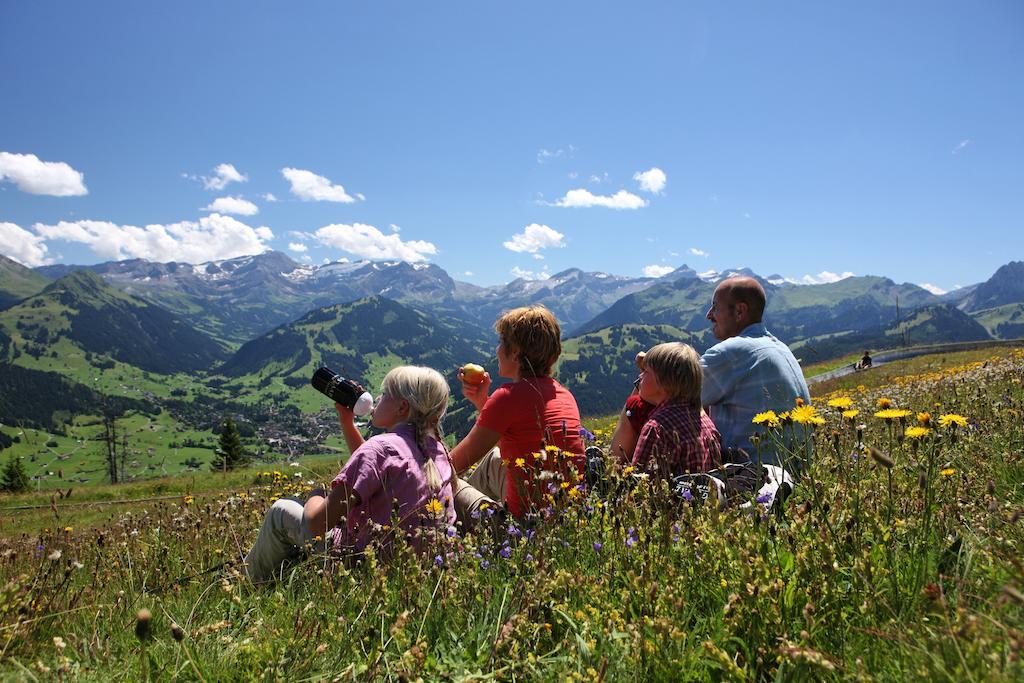 Hotel Spitzhorn Superieur 3*